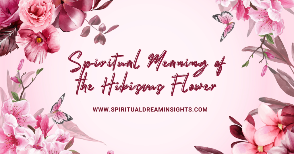 Spiritual Meaning of the Hibiscus Flower