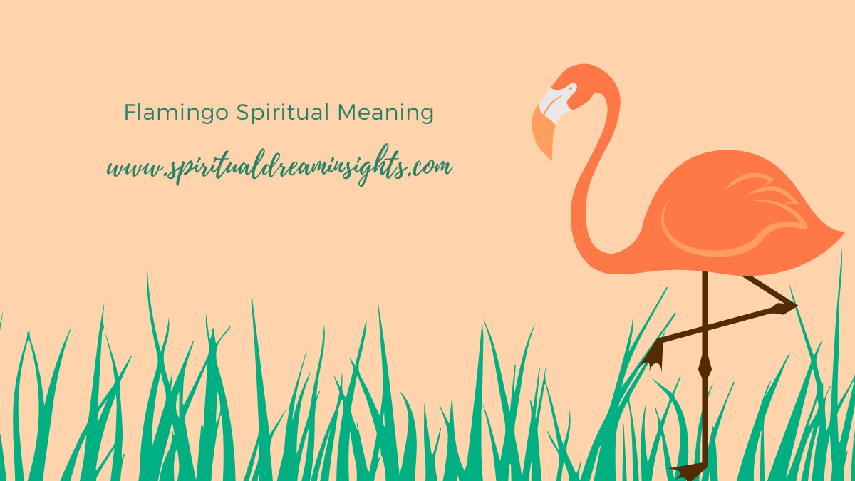 Flamingo Spiritual Meaning