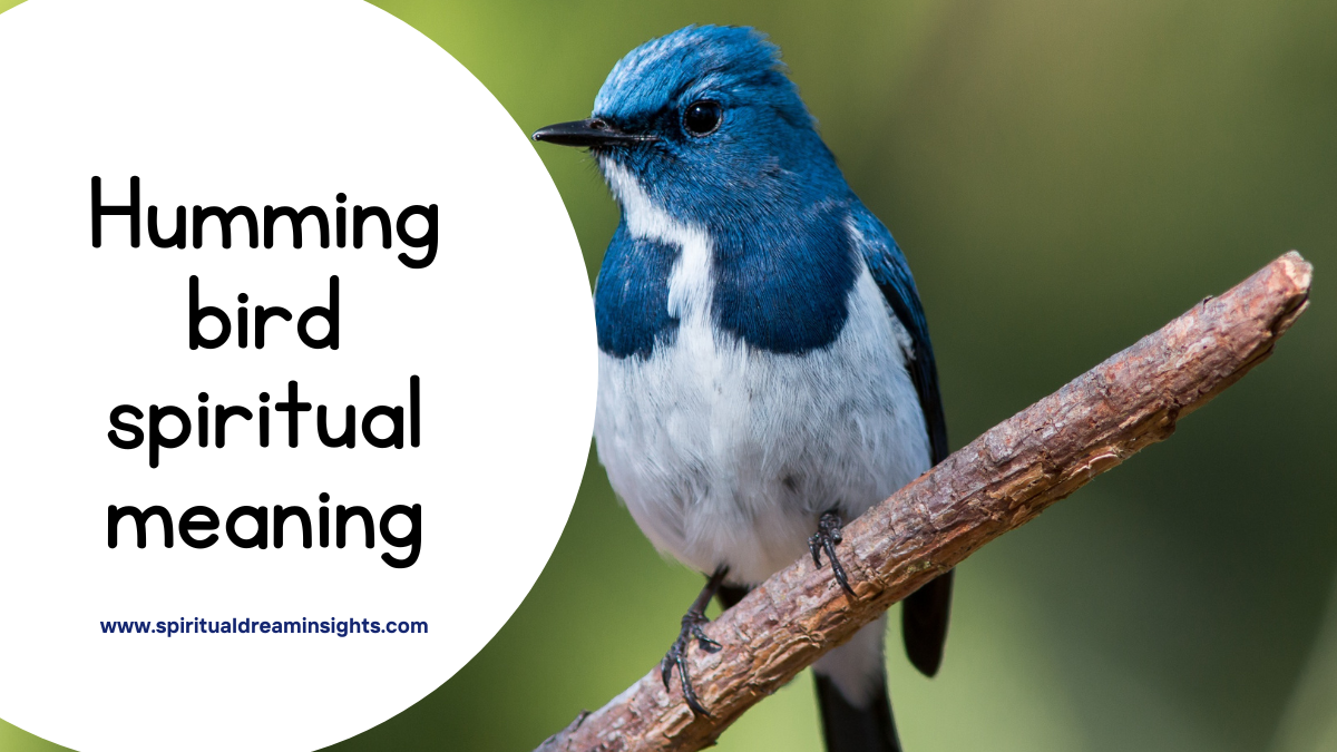 Hummingbird Spiritual Meaning