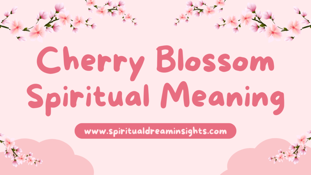 Cherry Blossom Spiritual Meaning