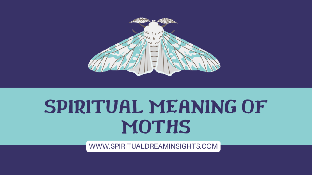 Spiritual Meaning of Moths