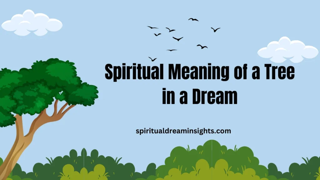 Spiritual Meaning of a Tree in a Dream