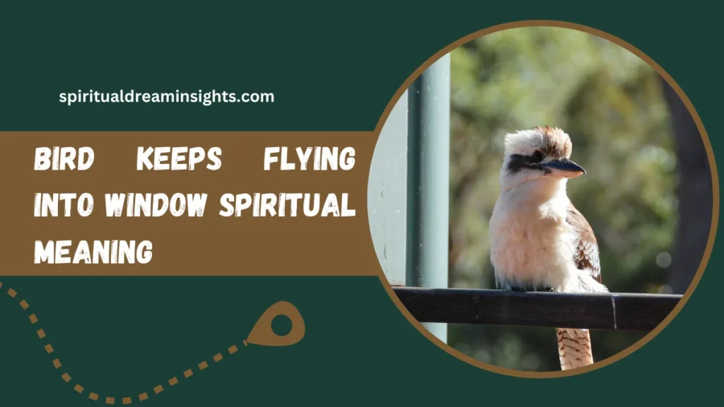 Bird Keeps Flying Into Window Spiritual Meaning