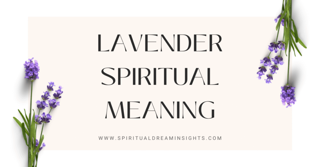 Lavender Spiritual Meaning