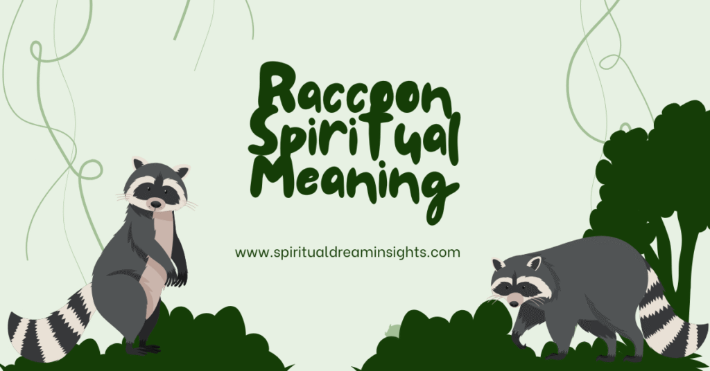 Raccoon Spiritual Meaning