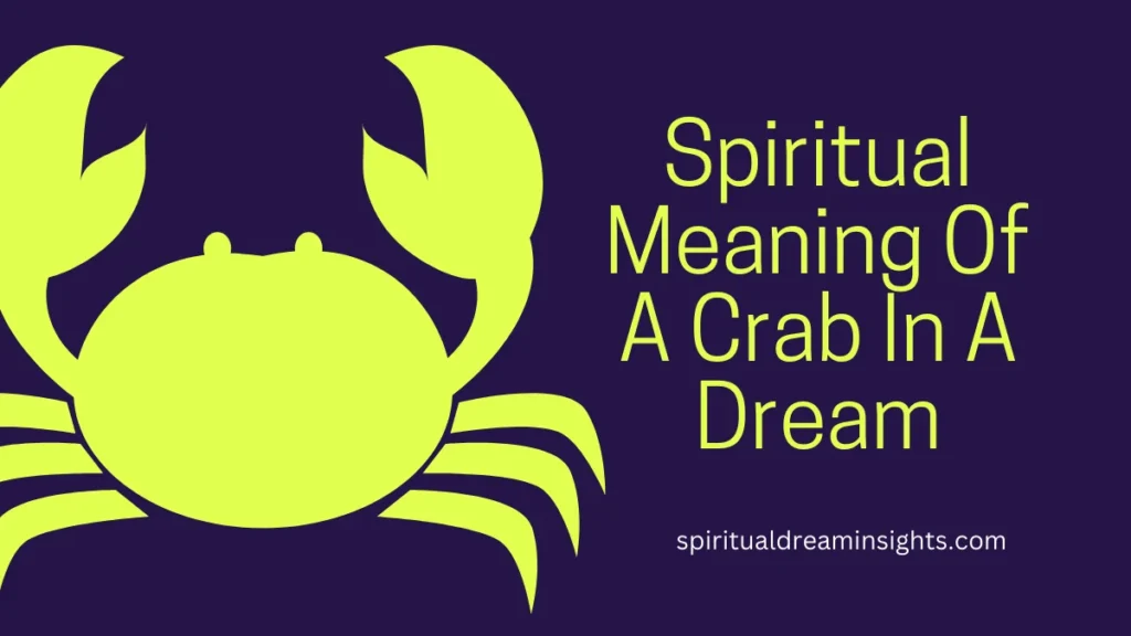 Spiritual Meaning Of A Crab In A Dream