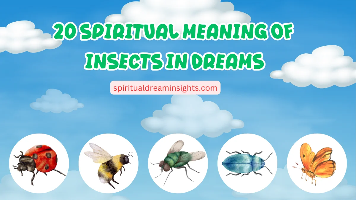 Spiritual Meaning Of Insects In Dreams