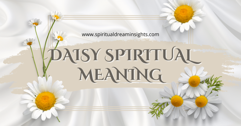 Daisy Spiritual Meaning