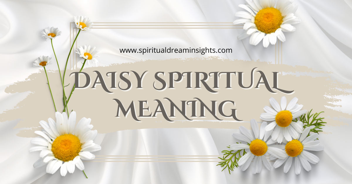 Daisy Spiritual Meaning