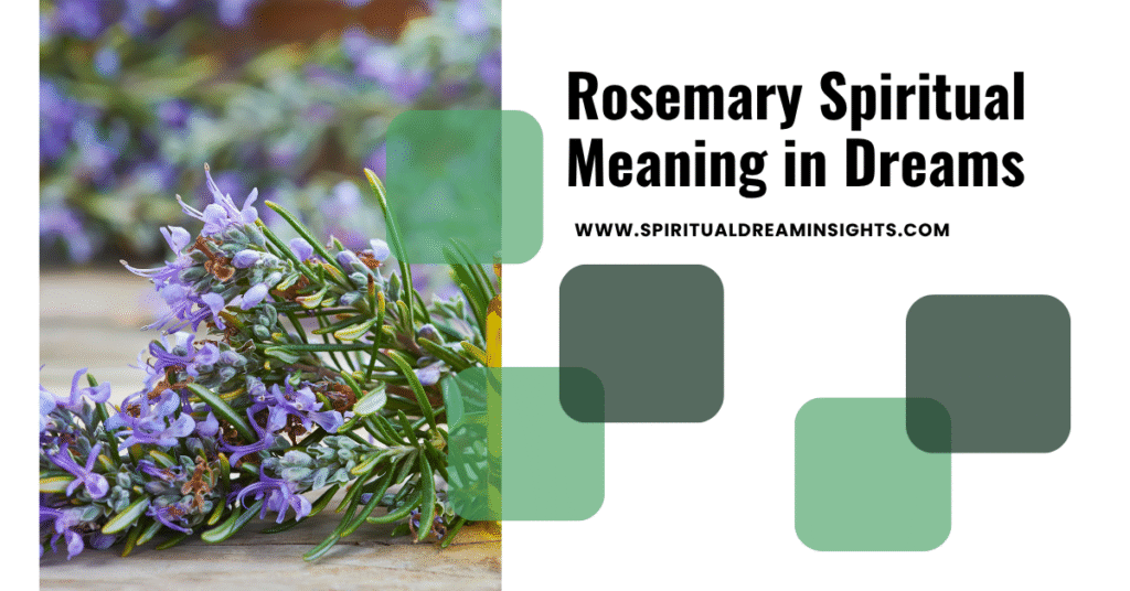 Rosemary Spiritual Meaning in Dreams