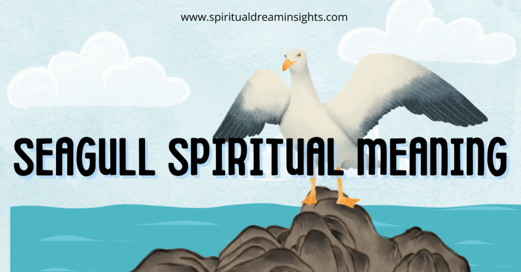 Seagull Spiritual Meaning