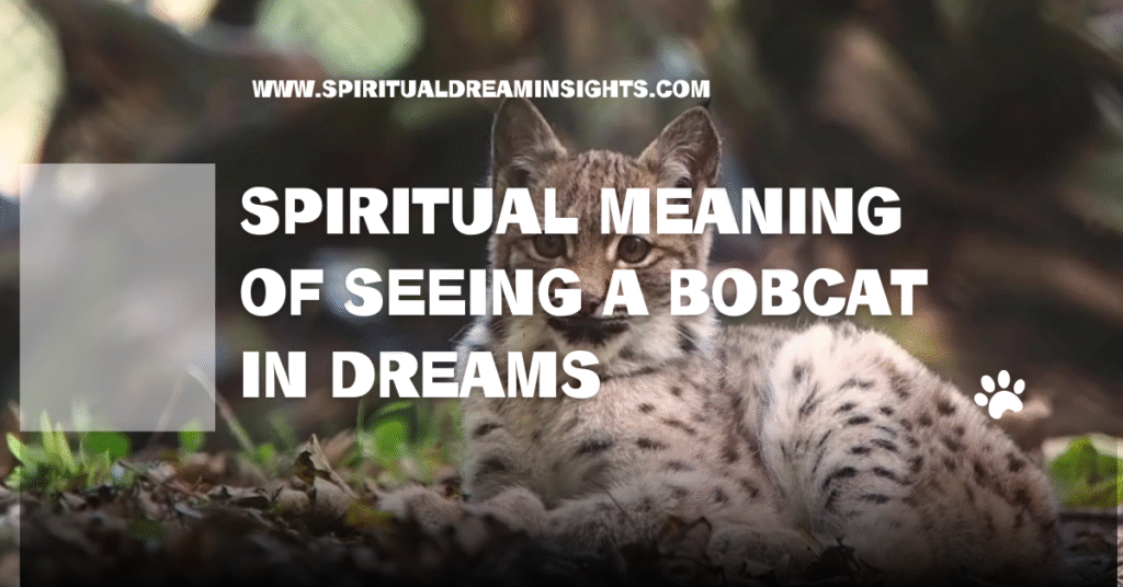 Spiritual Meaning of Seeing a Bobcat in Dreams