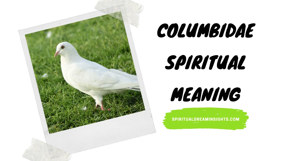 Columbidae Spiritual Meaning