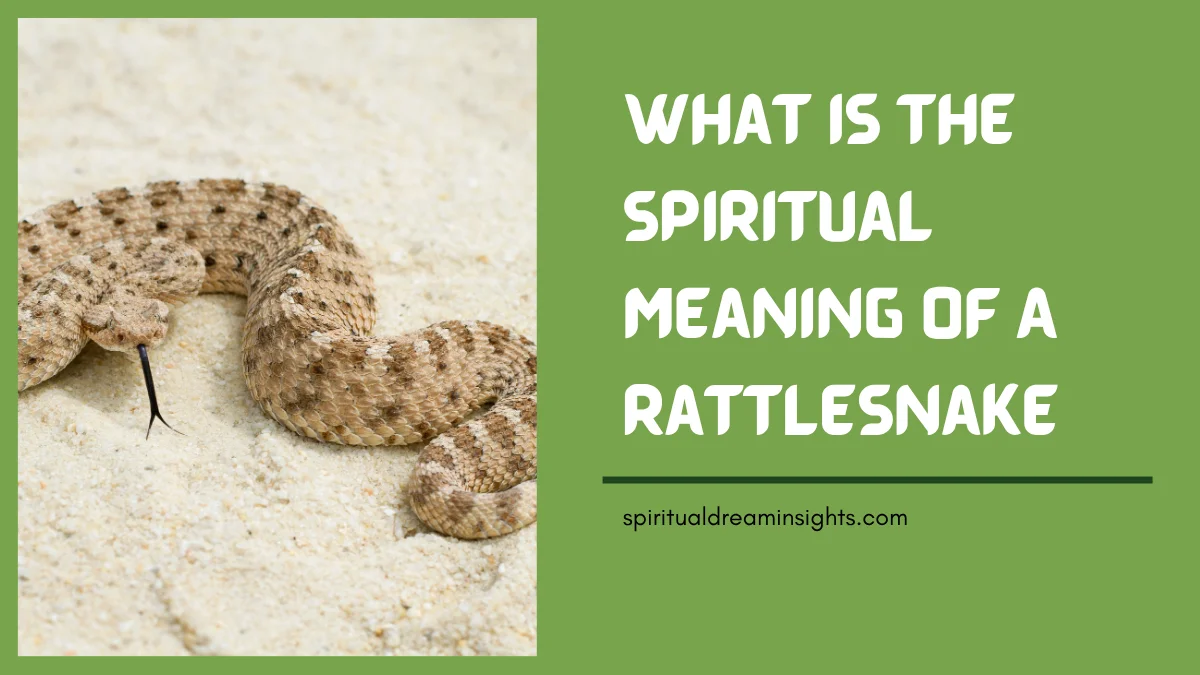 What Is The Spiritual Meaning Of A Rattlesnake