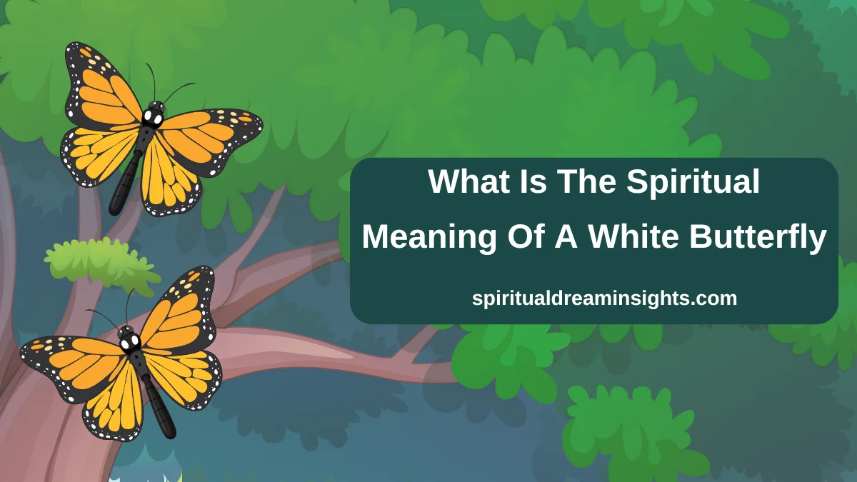 What Is The Spiritual Meaning Of A White Butterfly