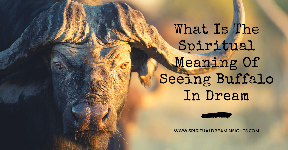 What Is The Spiritual Meaning Of Seeing Buffalo In Dream