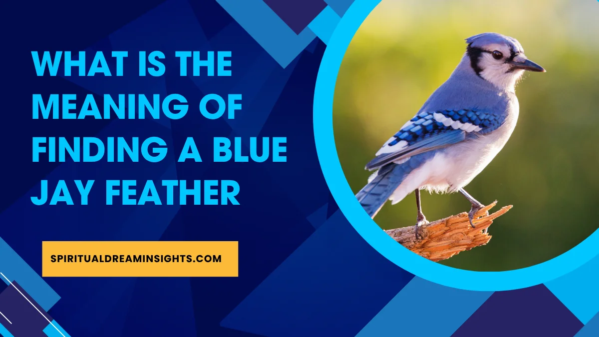 What Is The Meaning Of Finding A Blue Jay Feather